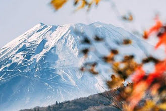 Anti FOMO: Strategi "Multi-Stop" ke Jepang & Korea Tanpa Boncos Kena Kurs